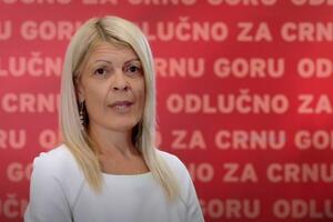 Damjanović: Želimo da IT sektor postane jaka privredna grana,...
