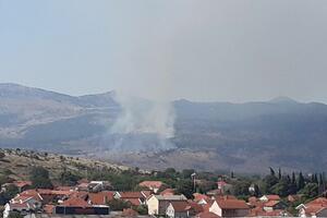 Požar na brdu Mihinja u Donjoj Gorici: U gašenju angažovani i...