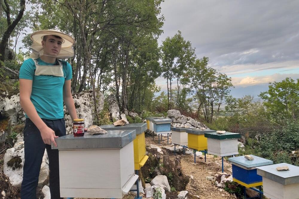Matija Vučinić među svojim pčelama, Foto: Svetlana Mandić
