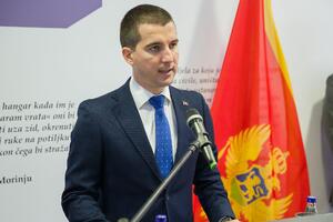 Bečić: Nova proevropska Vlada daće novu energiju procesu evropske...