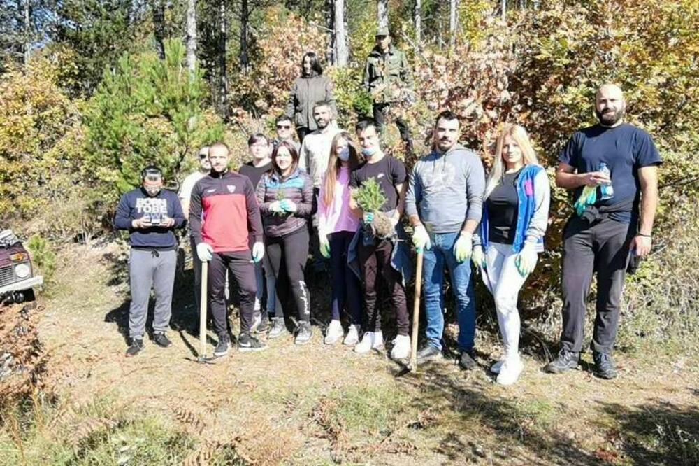 Gubavač pošumljavanje, Foto: Multumedijal Montenegro