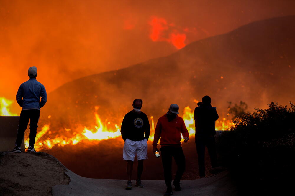 Detalj iz Kalifornije, Foto: Reuters