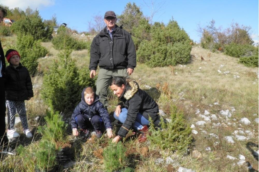 Akcija sadnje u Crkvičkom Polju, Foto: Udruženje