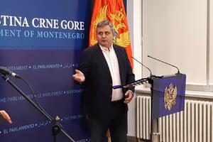 Radunović: Nova vlada će biti izabrana 24. novembra