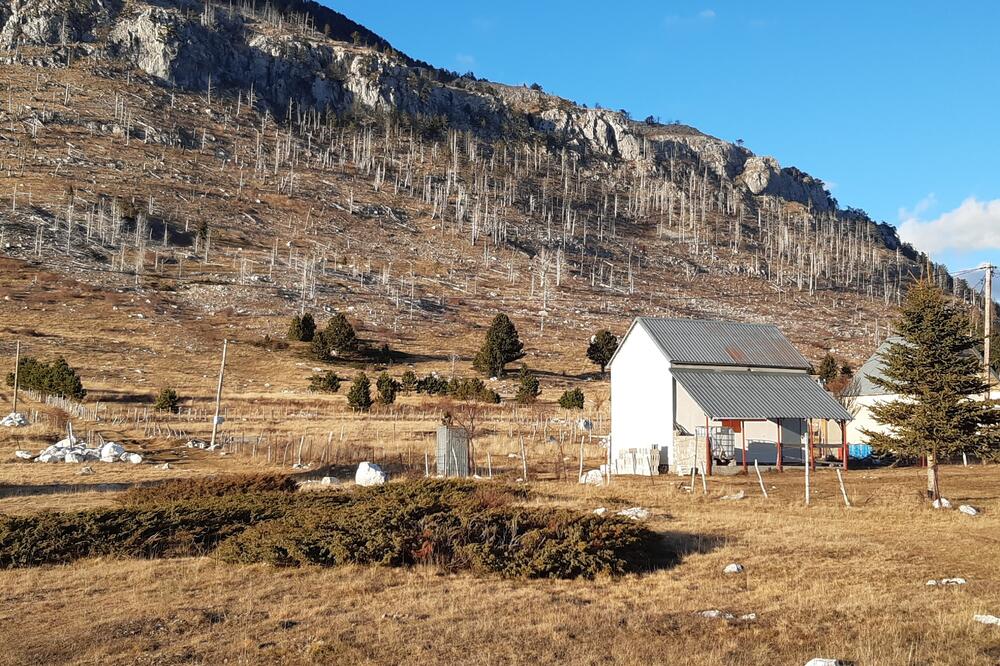 Golet ostaje nakon nelegalne sječe i požara: Iznad Kučkih korita, Foto: Privatna arhiva