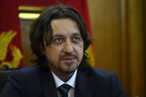 Sekulović: MUP će učiniti sve u domenu nadležnosti da omogući...