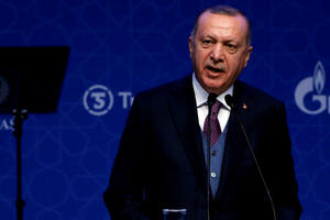 Erdogan: Šumski požari su globalna prijetnja kao i pandemija...