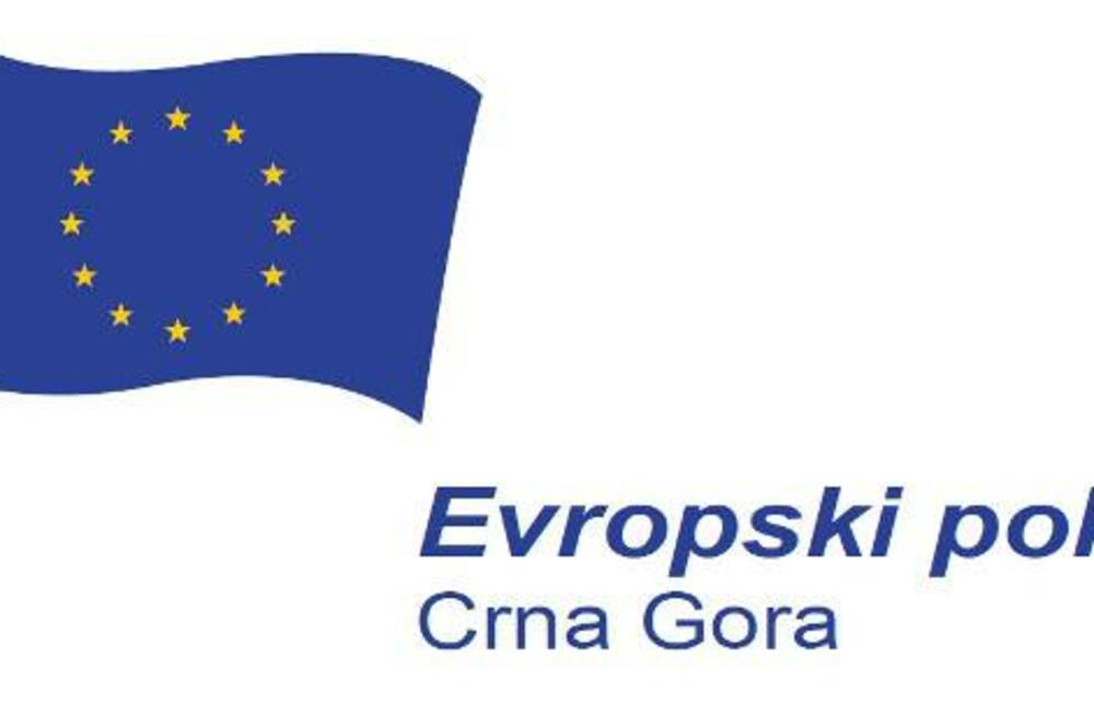 Evropski pokret u Crnoj Gori logo, Foto: Facebook