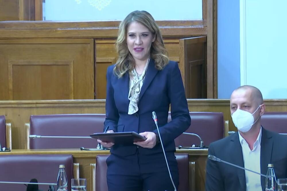 Ministarka Vesna Bratić, Foto: Screenshot/Youtube
