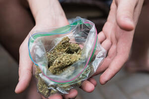 U Podgorici oduzeto 1,9 kg marihuane, krivična prijava protiv...