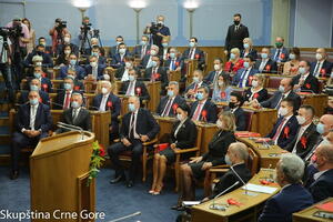 Kos: Jedino Vlada Crne Gore kući svoje kontrolore