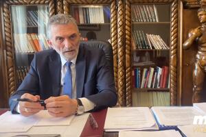Bulajić: Moguće prolongiranje roka za završetak rada Odbora za...