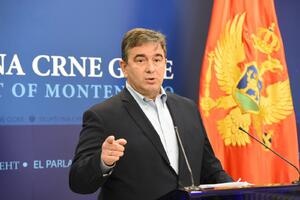 DF traži od Vlade da Medojević bude koordinator zelene tranzicije...