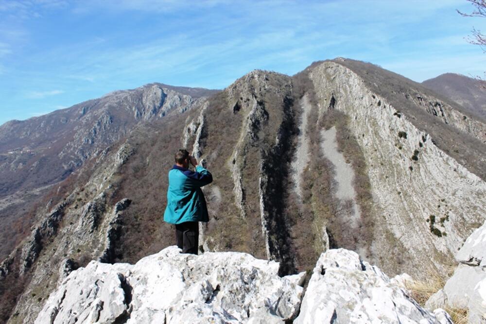 Planina