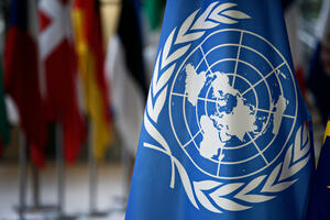 Nacije ne uspijevaju da postignu dogovor o sporazumu UN o zaštiti...