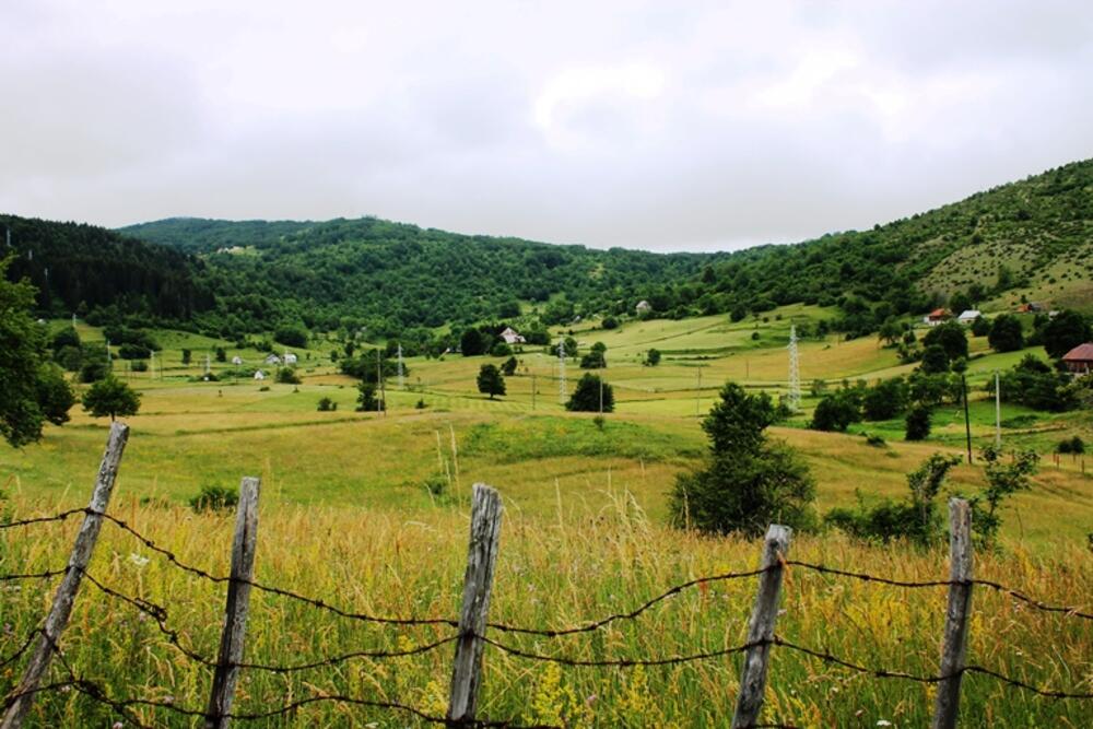 Crkvičko polje