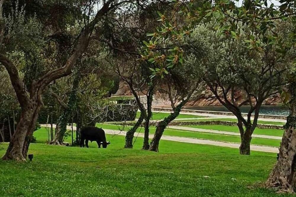 Miločerski park, april 2020., Foto: MZ Sveti Stefan