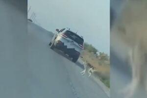 Tužan snimak iz SAD: Pas jurio za automobilom nakon što ga je...
