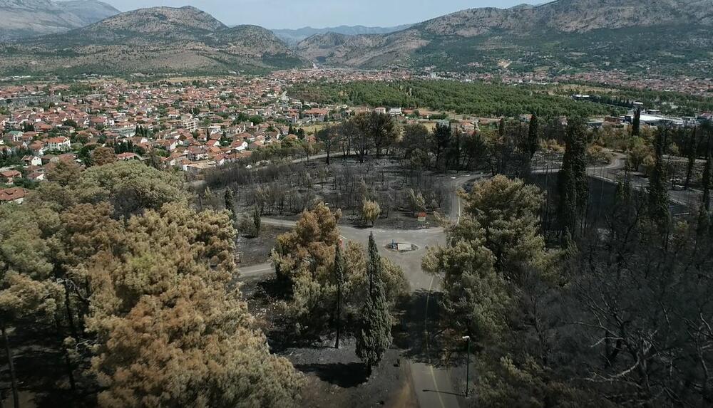 brdo Gorica požar
