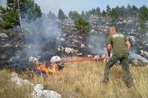 Požar u NP Durmitor i dalje aktivan