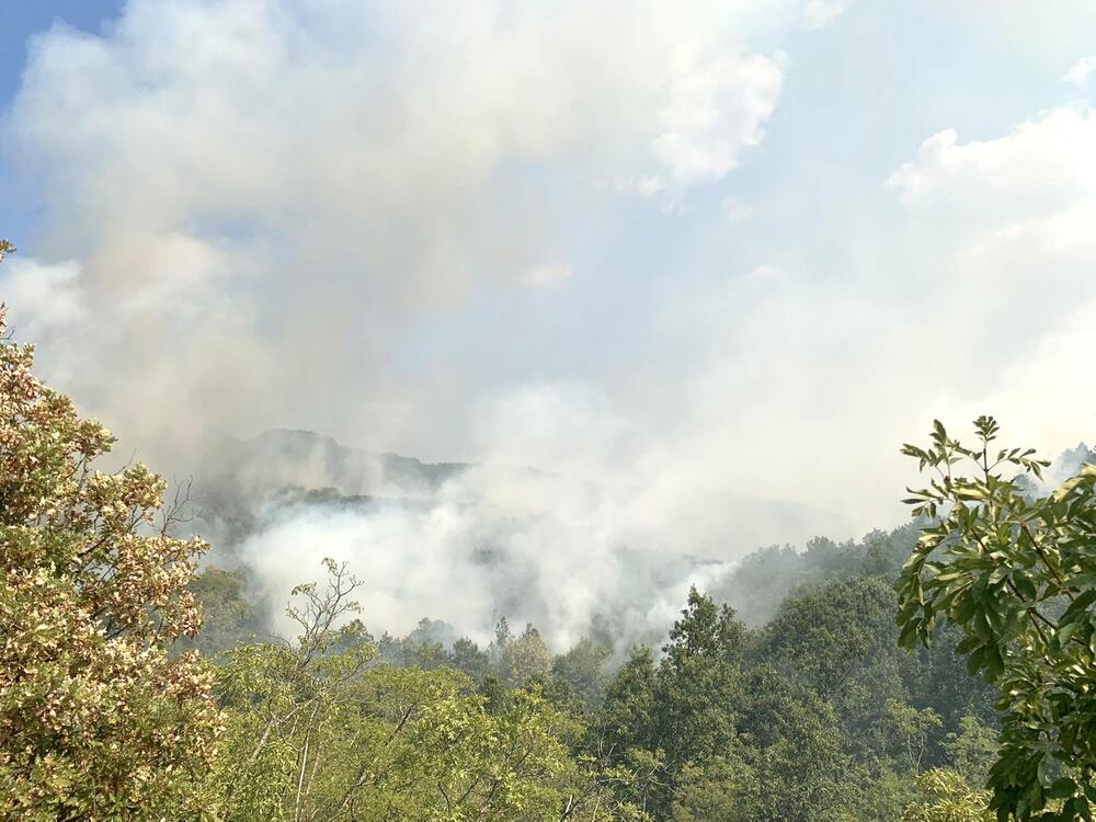 vatrogasci Cetinje, požar Katunska nahija