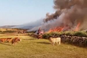 Španija: Požar u centralnom regionu, rekordno visoke temperature...