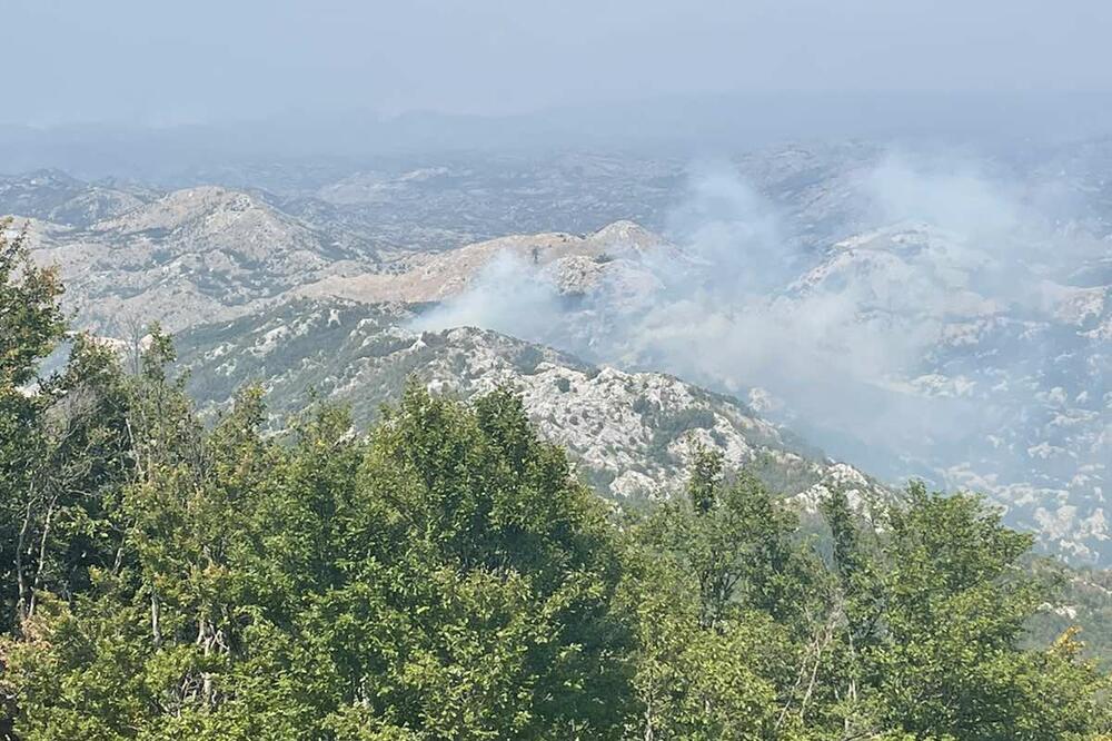 Foto: Služba zaštite NP Lovćen