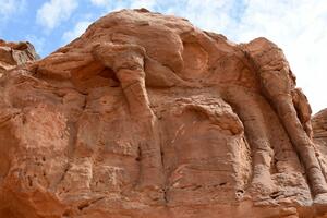 Saudijska Arabija: Skulpture kamila su, moguće, najstarije na...