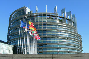 EP: EU da pomogne borbu protiv kriminala na Balkanu