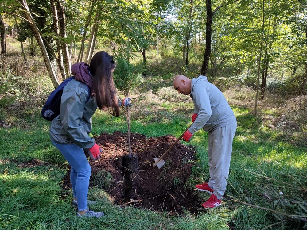 <p>"Prvo smo izabrali Brezovik jer je potrebna i najveća količina stabala, bez obzira što se za Brezovik kaže da je zelena oaza", kazao je predsjednik Društva mladih ekologa Nikšić Miodraga Karadžića</p>