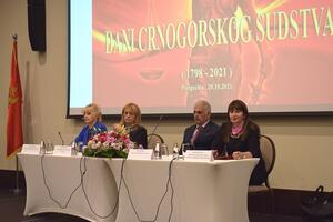 Vučković: Reformski zakoni da afirmišu vladavinu prava