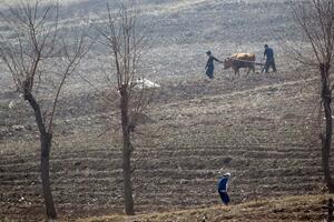 Sjeverna Koreja, Kim Džong Un i hrana: Stiže zima - raste strah od...