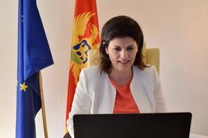 Kordić: Evropska integracija je goruća tema crnogorskog društva,...
