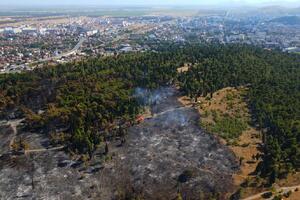 Požari u Crnoj Gori: Uzroci i posljedice