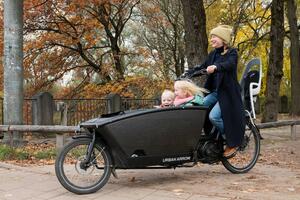 Njemačka i prevoz: Teretni bicikli - vozila koja koštaju kao...