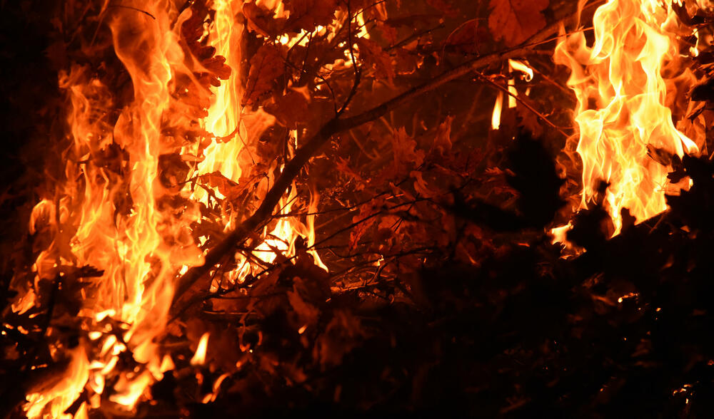 <p>Kako je proteklo današnje nalaganje badnjak ispred hrama Hristovog vaskrsenja u Podgorici možete vidjeti u galerijama naših fotoreportera Borisa Pejovića i Luke Zekovića</p>