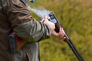 Krivična prijava zbog sumnje za nezakoniti lov: Pronađene puške,...