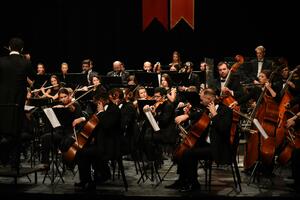 Audicija za Mediteranski orkestar mladih