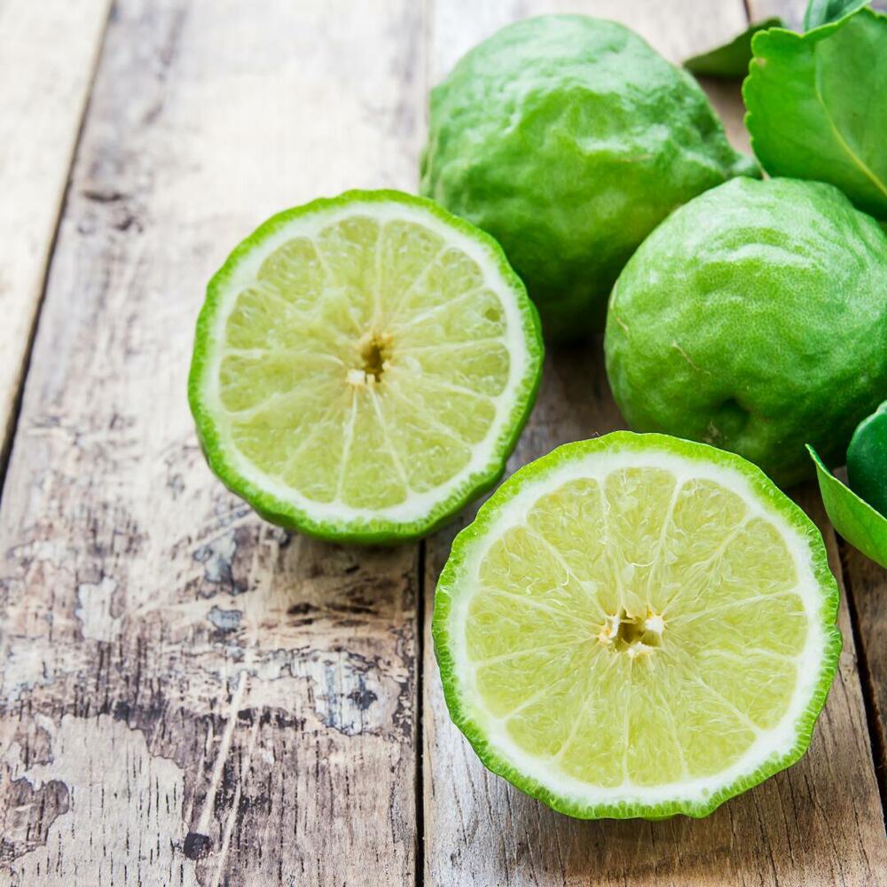 Citrus bergamot