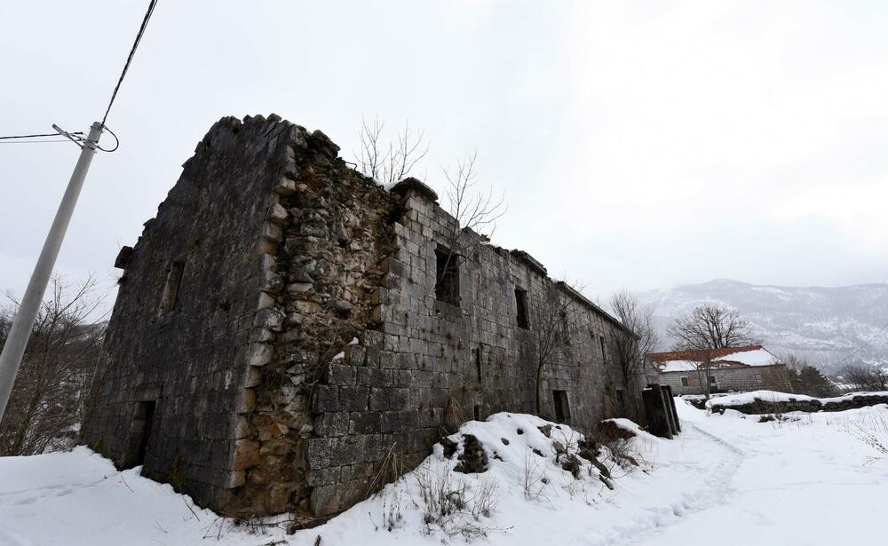 <p>Pored muzeja nalazi se i dvor knjaza i kralja Nikole, velika kuća u kojoj je rođen, koja za razliku od muzeja izgleda prilično zapušteno U blizini je i ruševina velike stare kuće, gdje su živjeli roditelji vladike Rada</p>