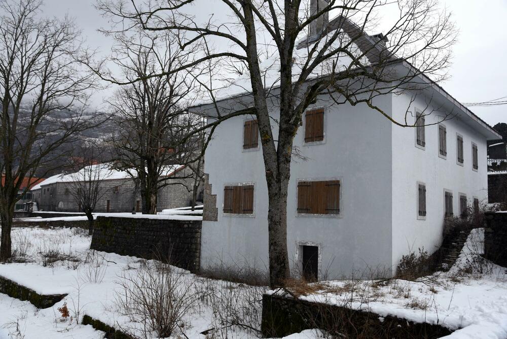 <p>Pored muzeja nalazi se i dvor knjaza i kralja Nikole, velika kuća u kojoj je rođen, koja za razliku od muzeja izgleda prilično zapušteno U blizini je i ruševina velike stare kuće, gdje su živjeli roditelji vladike Rada</p>