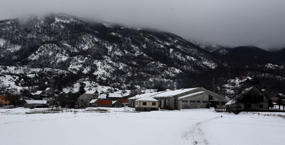 <p>Pored muzeja nalazi se i dvor knjaza i kralja Nikole, velika kuća u kojoj je rođen, koja za razliku od muzeja izgleda prilično zapušteno U blizini je i ruševina velike stare kuće, gdje su živjeli roditelji vladike Rada</p>