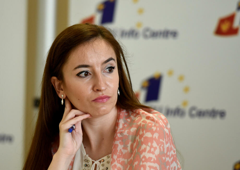 Kršenja postalo pravilo, a ne izuzetak: Dina Bajramspahić 