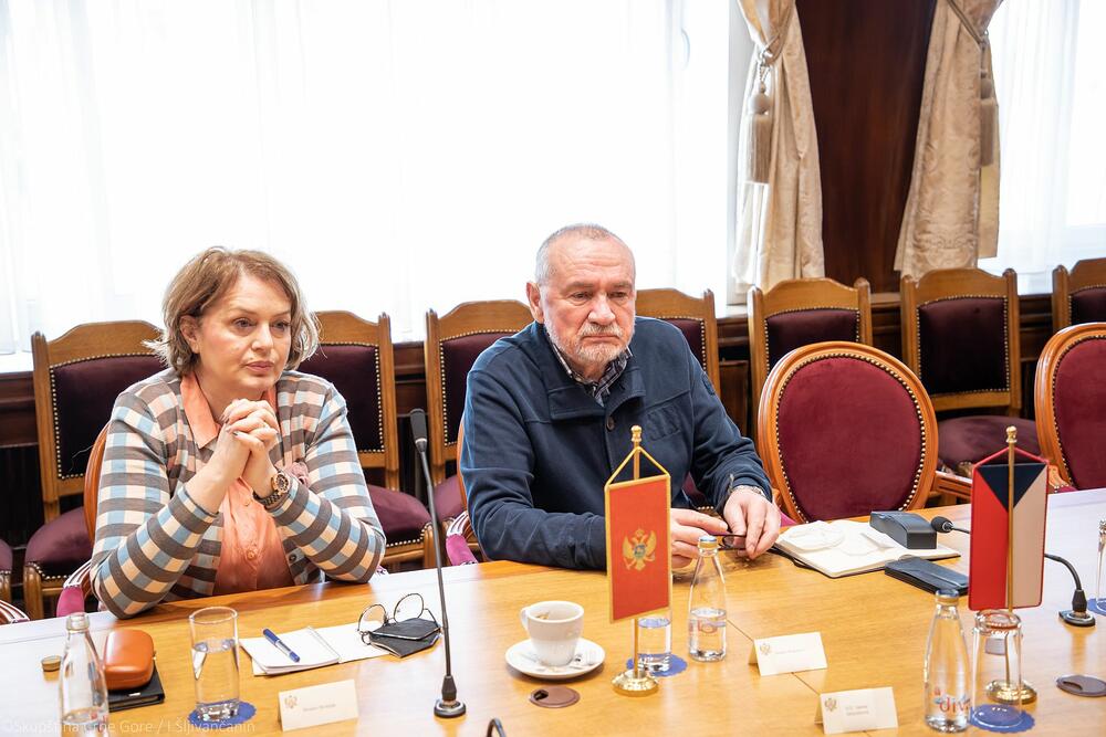 Branka Bošnjak, Branko Radulović, Janina Hrebičkova