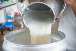 Proizvođači mlijeka ugroženi, spremili set mjera za razgovor sa...