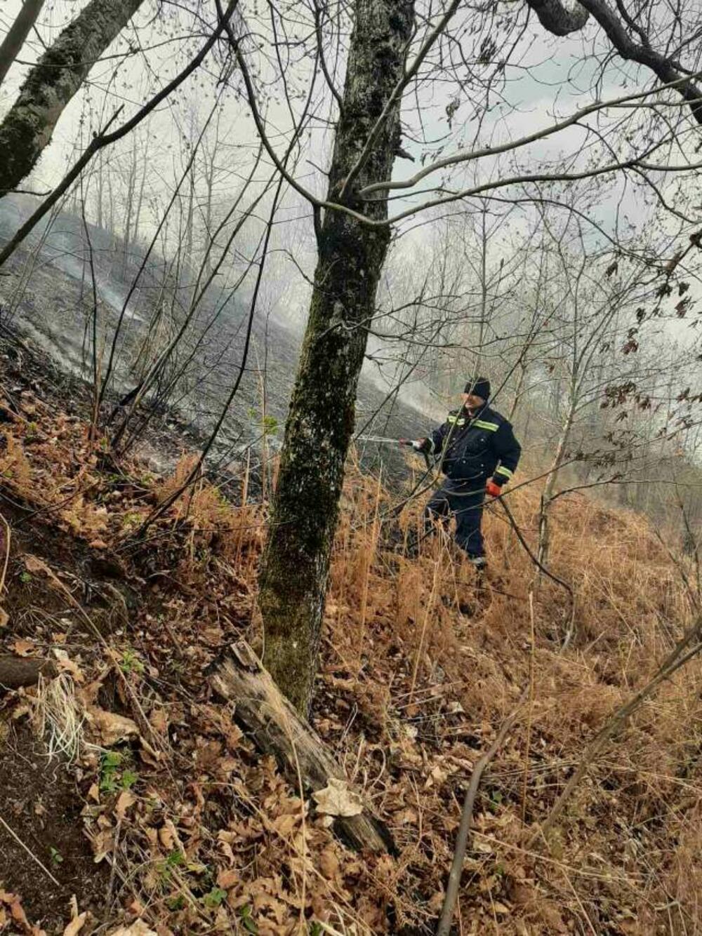 <p>"U Seocima je bilo angažovano sedam vatrogasaca sa dva vozila. I na lokaciji kod tunela 27 bila su dva vozila. Lokalizovali smo požare, mada duva sjeverni vjetar. Nažalost, slaba kiša na tom području je sinoć padala"</p>