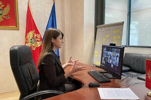 Crna Gora podržala Deklaraciju o budućnosti interneta