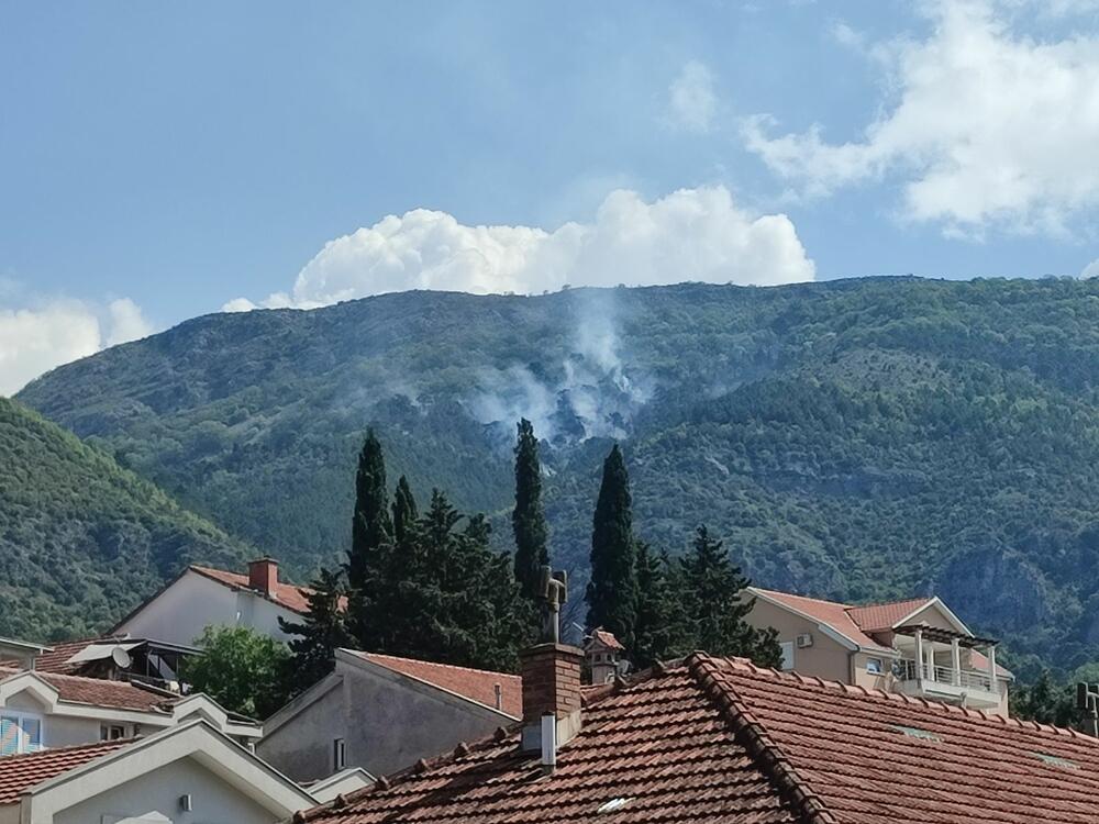 <p>"Požar za sada ne ugrožava objekte, ali ga ne možemo ugasiti sa terena, već jedino intervencijom iz vazduha, ili ako padne kiša", kazao je "Vijestima" komandir Službe zaštite Opštine Tivat Milorad Giljača</p>