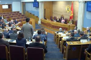Skupština drugi put usvojila dopune Zakona o lokalnoj samoupravi