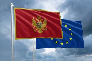 EU iskreno cijeni reformski trud Crne Gore u sektoru javne uprave